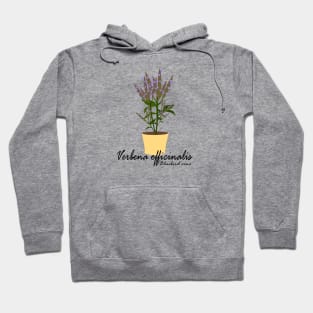 Verbena Hoodie